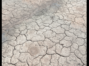 ground terrain desert pbr pack 1 CG 텍스쳐
