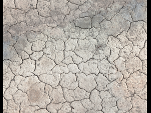 ground terrain desert pbr pack 1 CG 텍스쳐