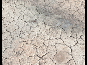 ground terrain desert pbr pack 1 CG 텍스쳐