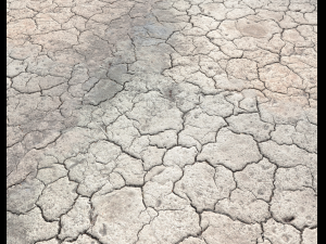 ground terrain desert pbr pack 1 CG 텍스쳐