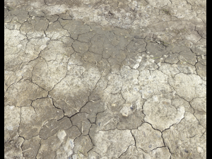 ground terrain desert pbr pack 1 CG 텍스쳐