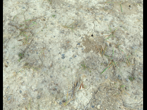 ground terrain desert pbr pack 1 CG 텍스쳐