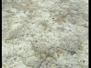 ground terrain desert pbr pack 1 CG Textures