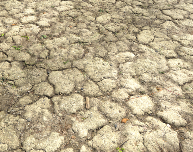ground terrain desert pbr pack 2 CG Textures .c4d .max .obj .3ds .fbx .stl .blend 
