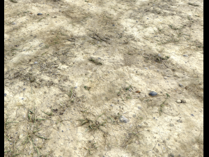 ground terrain desert pbr pack 2 CG Textures