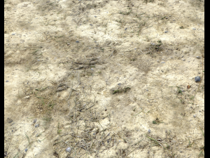 ground terrain desert pbr pack 2 CG Textures
