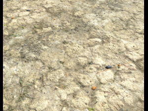 ground terrain desert pbr pack 2 CG Textures
