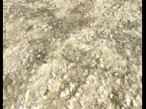 ground terrain desert pbr pack 2 CG Textures