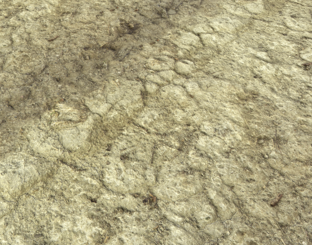 ground terrain desert pbr pack 3 CG टेक्स्चर्स .c4d .max .obj .3ds .fbx .stl .blend 