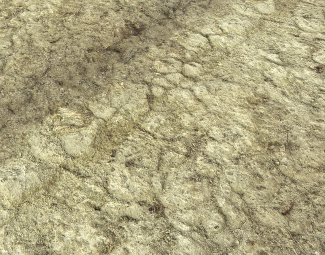 ground terrain desert pbr pack 3 CG Textures .c4d .max .obj .3ds .fbx .stl .blend 