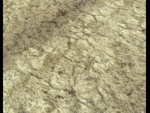 ground terrain desert pbr pack 3 CG Textures