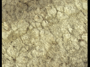ground terrain desert pbr pack 3 CG टेक्स्चर्स