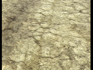 ground terrain desert pbr pack 3 CG Textures