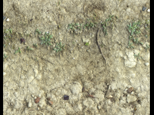 ground terrain desert pbr pack 3 CG टेक्स्चर्स