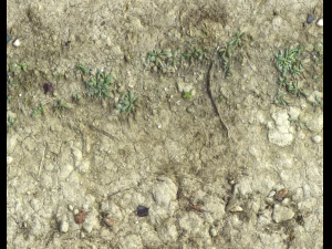 ground terrain desert pbr pack 3 CG Textures