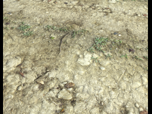 ground terrain desert pbr pack 3 CG टेक्स्चर्स