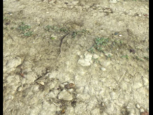 ground terrain desert pbr pack 3 CG Textures