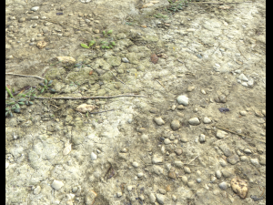 ground terrain desert pbr pack 3 CG टेक्स्चर्स
