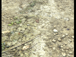 ground terrain desert pbr pack 3 CG टेक्स्चर्स