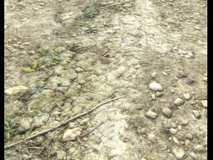 ground terrain desert pbr pack 3 CG Textures