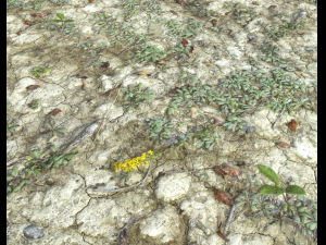 ground terrain desert pbr pack 3 CG टेक्स्चर्स