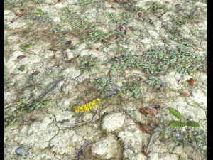 ground terrain desert pbr pack 3 CG Textures