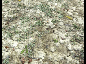 ground terrain desert pbr pack 3 CG Textures