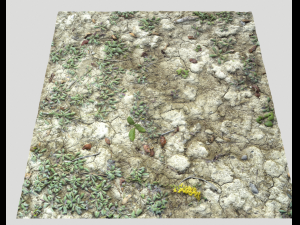 ground terrain desert pbr pack 3 CG टेक्स्चर्स