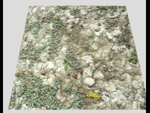 ground terrain desert pbr pack 3 CG Textures