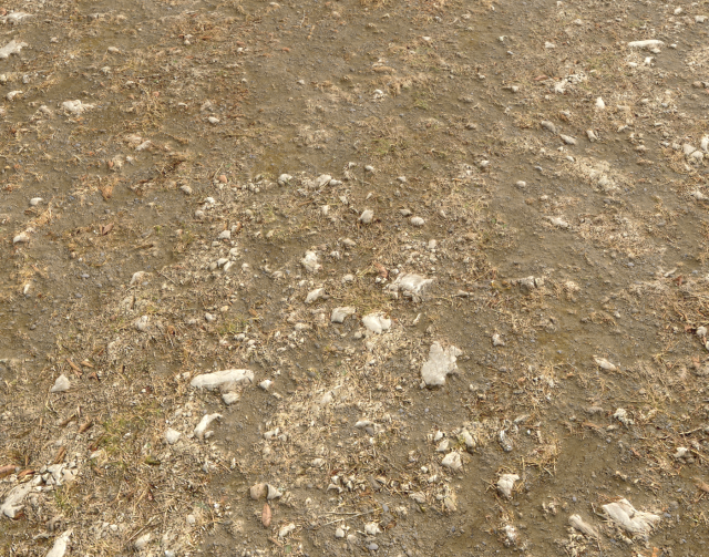 arid wasteland ground pbr pack 1 CG Textures .c4d .max .obj .3ds .fbx .stl .blend 