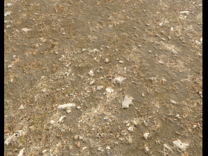 arid wasteland ground pbr pack 1 CG Textures
