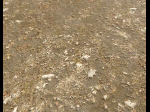 arid wasteland ground pbr pack 1 CG Textures