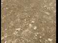 Arid Wasteland ground PBR Pack 1 3D Model