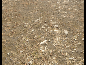 arid wasteland ground pbr pack 1 CG Textures