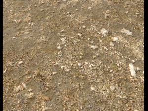 arid wasteland ground pbr pack 1 CG Textures