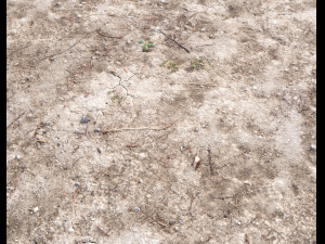 arid wasteland ground pbr pack 1 CG Textures