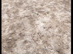 arid wasteland ground pbr pack 1 CG Textures