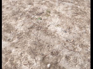 arid wasteland ground pbr pack 1 CG Textures