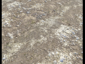 arid wasteland ground pbr pack 1 CG Textures