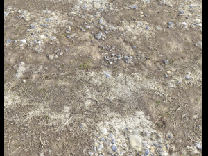 arid wasteland ground pbr pack 1 CG Textures