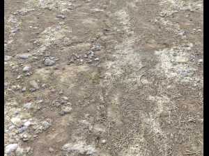 arid wasteland ground pbr pack 1 CG Textures