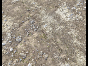 arid wasteland ground pbr pack 1 CG Textures