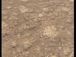 arid wasteland ground pbr pack 1 CG Textures
