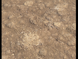arid wasteland ground pbr pack 1 CG Textures