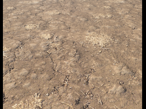 arid wasteland ground pbr pack 1 CG Textures