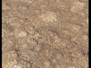 arid wasteland ground pbr pack 1 CG Textures