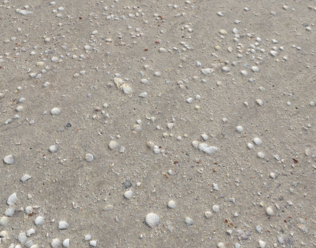 ground terrain beach pbr pack 2 texture CG Textures .c4d .max .obj .3ds .fbx .stl .blend 