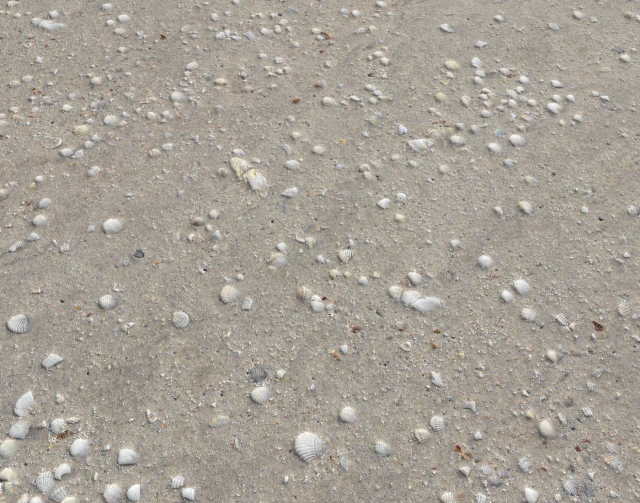 ground terrain beach pbr pack 2 texture CG Textures .c4d .max .obj .3ds .fbx .stl .blend 