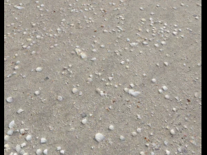 tekstur tanah medan pantai pbr paket 2 Tekstur CG