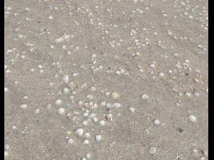 ground terrain beach pbr pack 2 texture CG Textures